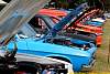 IMG_3116.jpg