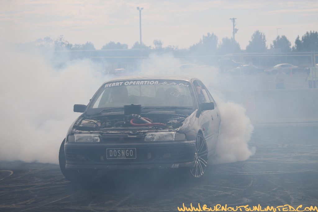 IMG_5126.JPG